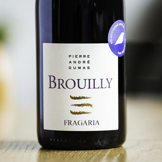 PinotBleu Brouilly Beaujolais Terra Vitis