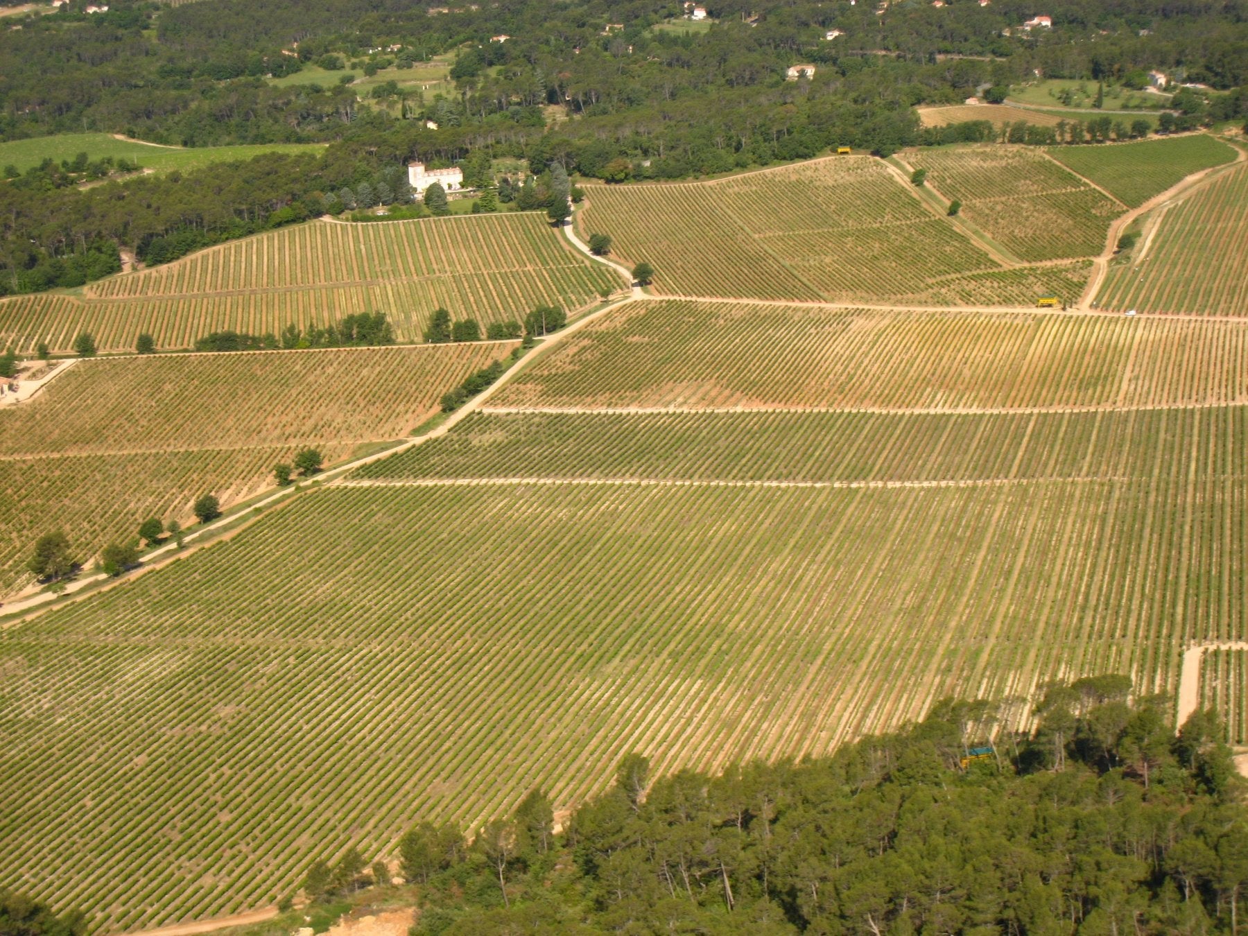 Côtes de Provence Cru Classé bio