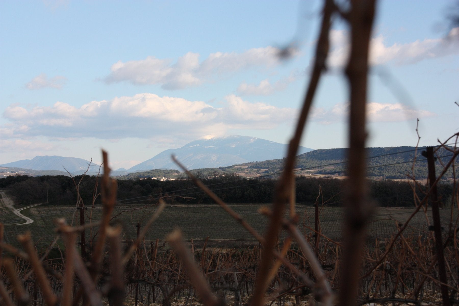 Côtes-du-Rhône bio