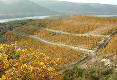 Crozes-Hermitage Domaine Habrard HVE bio