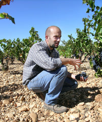 Ventoux Terra Vitis