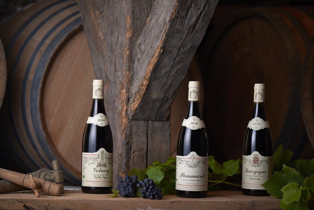 Volnay Rossignol-Fevrier bio biodynamie