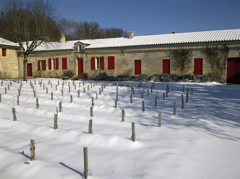 Saint Emilion Grand Cru bio